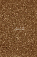 Ковролин AW Invictus Atticus Atticus 80 фото 1 | FLOORDEALER